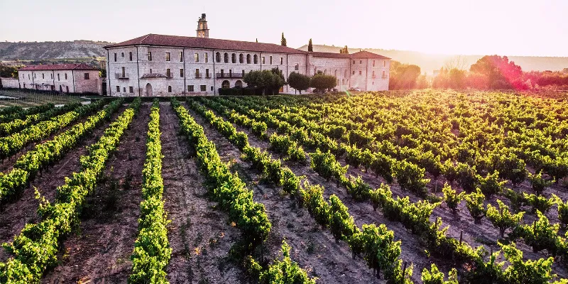 Descubre las mejores bodegas de la región