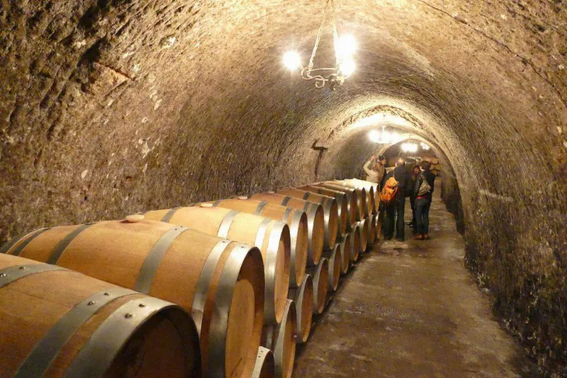 Explora las bodegas subterráneas de la Penedès