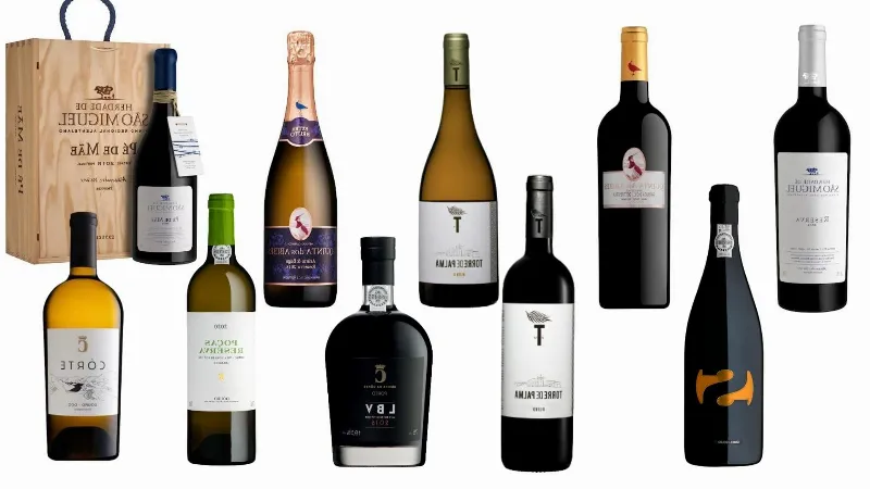 Descubre los vinos menos conocidos de la región