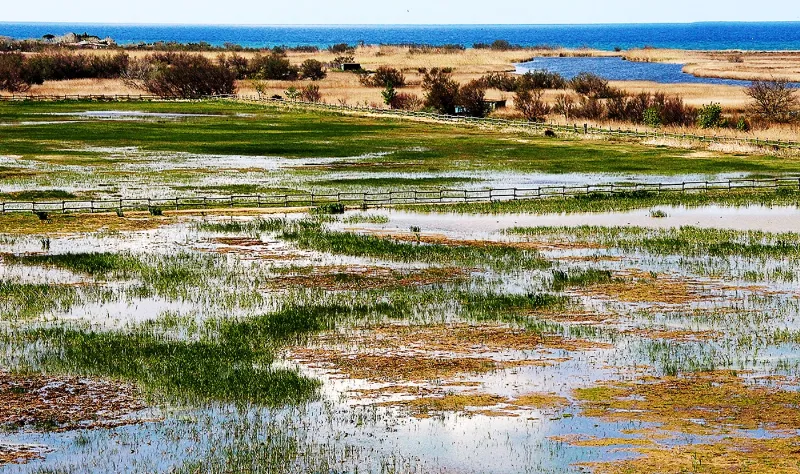 Visita al parque natural de Aiguamolls de l'Empordà en la Costa Brava